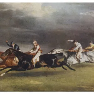 Horse Race / Postcard