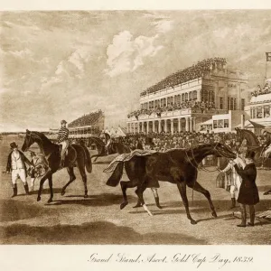 Horse Racing / Ascot