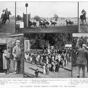 Horse racing at Sandown