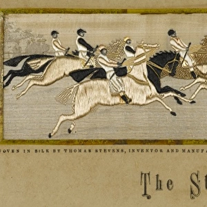 Horse Racing / Silk