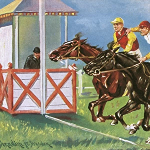 Horse Racing - Won by a Short Head