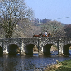 Horses on a bridge, Withypool, Somerset