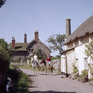 Horses by cottages at Bossington, Somerset