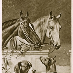 Two Horses and a pair of dogs