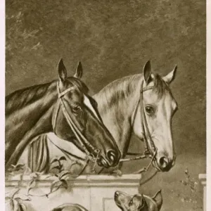 Two Horses and a Pair of Dogs Print Two Horses and a Pair of Dogs Print
