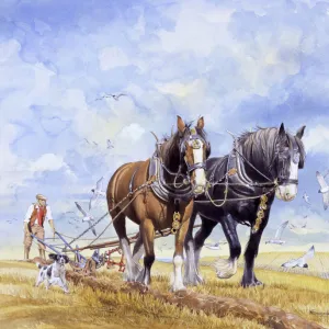 Animals Jigsaw Puzzle Collection: Horses