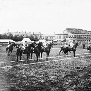 Horses at starting line, Doncaster racecourse