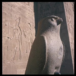 Horus the Falcon God