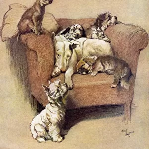 A House Full by Cecil Aldin