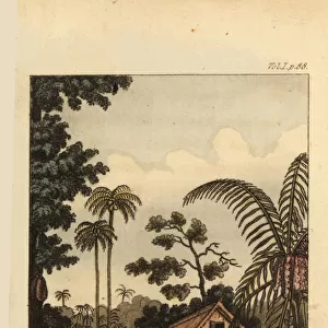 House on stilts of the Minangkabau people