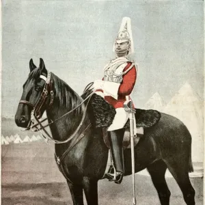 Aiguillette Household Cavalry – Armée Britannique, 2e Classe, Véritable équipement