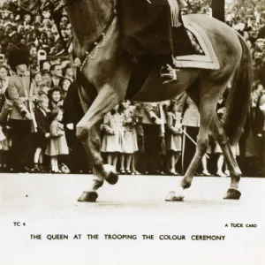 HRH Queen Elizabeth II - Trooping of the Colour