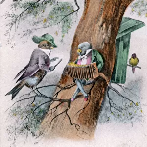 Humanised birds on a tree on a greetings postcard