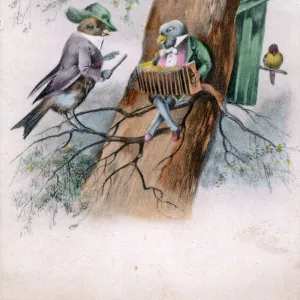 Humanised birds on a tree on a greetings postcard