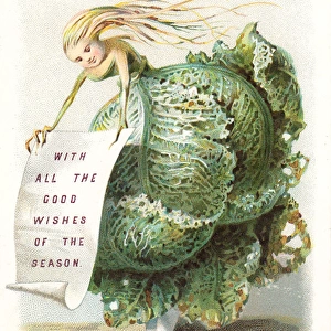 Humanised cabbage on a Christmas card