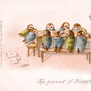 Humanised owls at school on a greetings postcard