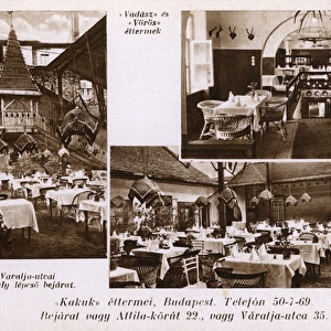 Hungary - Budapest - Kakuk Restaurant