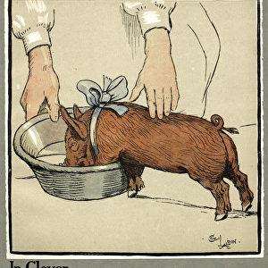 Hungry Peter as a growing piglet drinking from a bowl