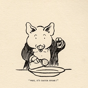Hungry Peter the pig putting sugar in the soup