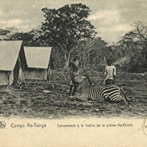 Hunt camp - Congo - Zebra Hunting
