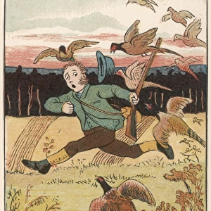Hunter attacked by pheasants