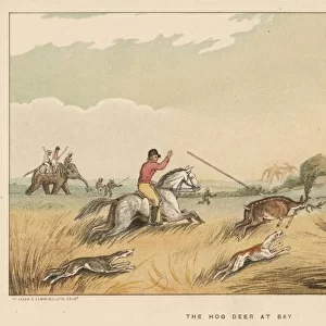 Hunting Hog Deer 1807