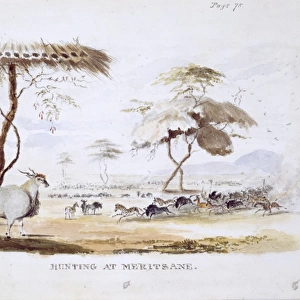 Hunting at Meritsane (Plate 51 / 52)