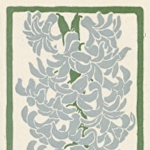 Hyacinth / Jugend 1898
