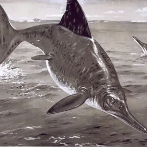 Ichthyosaurus