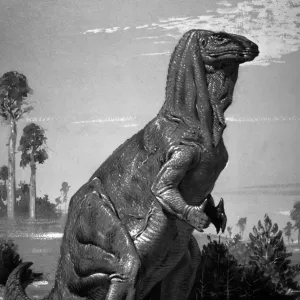 Iguanodon