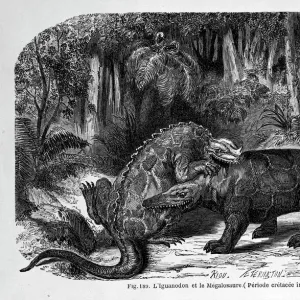 Iguanodon & Megalosaurus