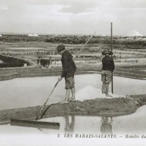 Ile de Re, France - Salt pans