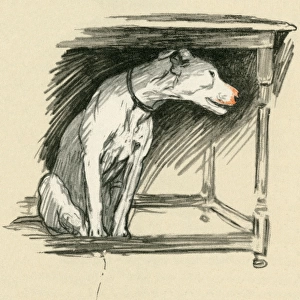 Illustration by Cecil Aldin, Cracker under a table