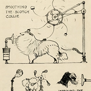 Illustration by Cecil Aldin, Crackers dog show inventions