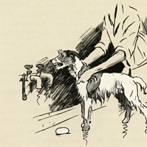 Illustration by Cecil Aldin, dog being given a bath