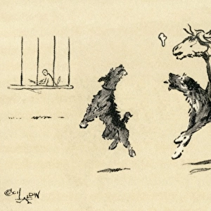 Illustration by Cecil Aldin, Exmoor pony and dogs at play