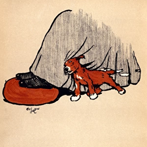 Illustration by Cecil Aldin, The Red Puppy Book