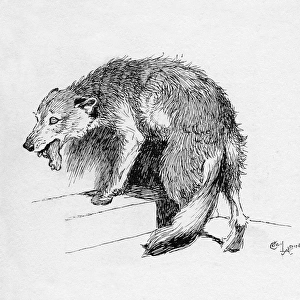 Illustration by Cecil Aldin, The Rough Fox