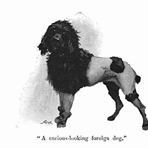 Illustration by Cecil Aldin, Spot meets a poodle
