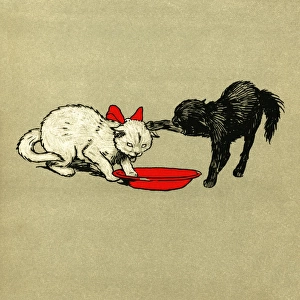 Illustration by Cecil Aldin, The White Kitten Book