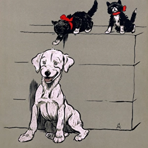 Illustration by Cecil Aldin, The White Puppy Book