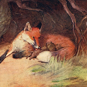 Illustration, female fox with cubs