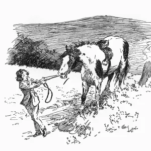 Illustration, girl pulling at Jokers reins