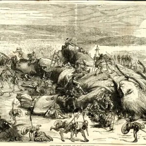 Illustration, Gullivers Travels