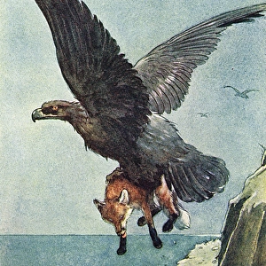 Illustration, White-Ear and a large eagle