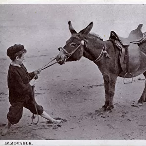Immovable - 2 young boys fail to get a beach donkey to move