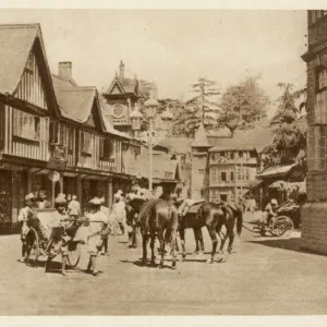 India / Simla Mall 1920S