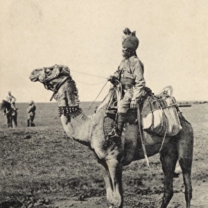 Indian Camel Cavalry