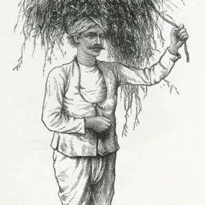 Indian Grass Cutter