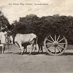 Indian hay dealer and cart, Secunderabad, India